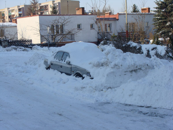 zima 2010(1).jpg