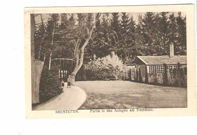 Neust Treibhaus 1916.jpg